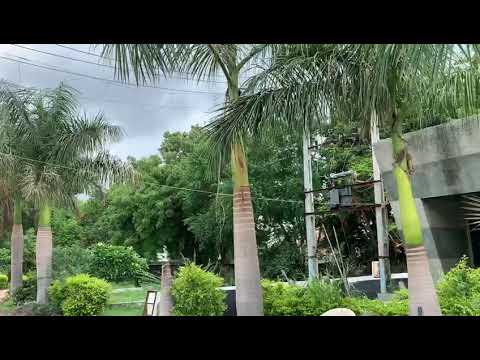 Walkthrough Walkthrough