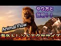 【2020年海外トレンドエクササイズ】【Animal Flow】の3つの【ポーズ】と【スイッチ】について!!