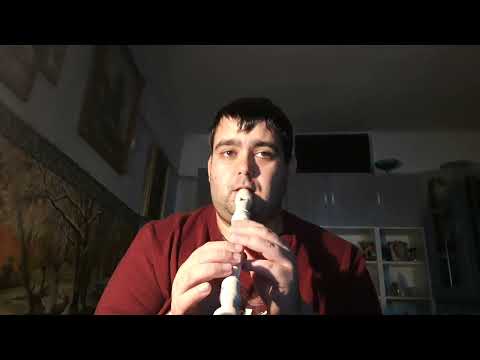 Sárközi Róbert - Szeretem (Nox) recorder cover