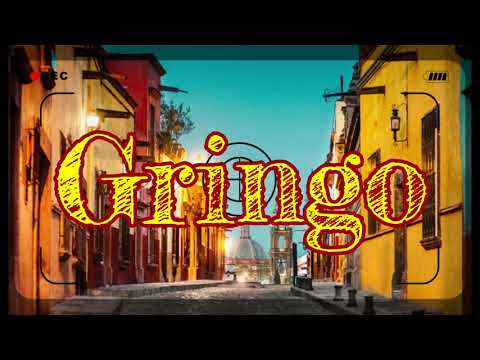 INSTRU // TYPE BEAT // Gringo (Soolking , Jul, marwa loud , aya nakamura , l'artiste,  l'algérino)