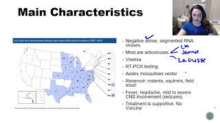 RNA Viruses  Bunyaviridae California & La Crosse