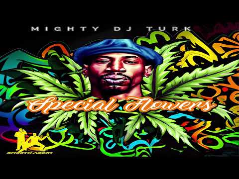 Mighty DJ Turk -   Special Flowers (Remix)