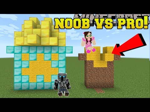 Minecraft: NOOB VS PRO!!! - BUILD BATTLE WITH 3 BLOCKS! - Mini-Game