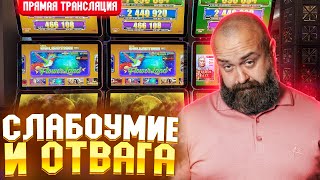 В погоне за БИГ ВИНОМ! #хозяинказино #bigwin #slot