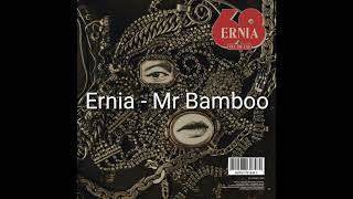Ernia - Mr Bamboo (solo Ernia)