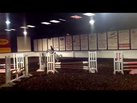 SOLD||  23/11/2014:  Stainsby, Discovery - Ennistymon Princess