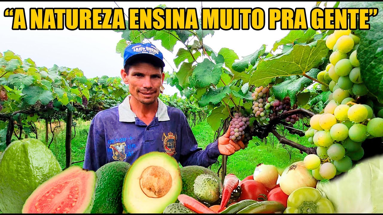 CLAUDINEI PRODUZ MUITO EM PEQUENO SÍTIO - É POSSIVEL