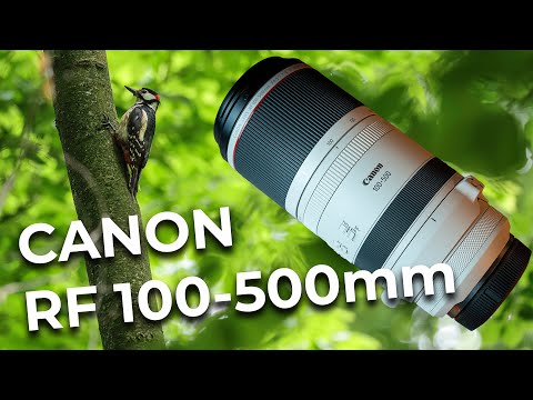 External Review Video N33Xi8rgA-0 for Canon RF 100-500mm F4.5-7.1 L IS USM Full-Frame Lens (2020)
