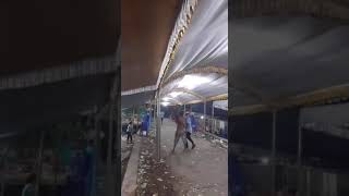 Download lagu BELUM PUAS JOGET#shorts mp3