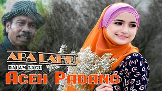 Download lagu Mantap apalahu.dalam lagu Aceh padang mp3