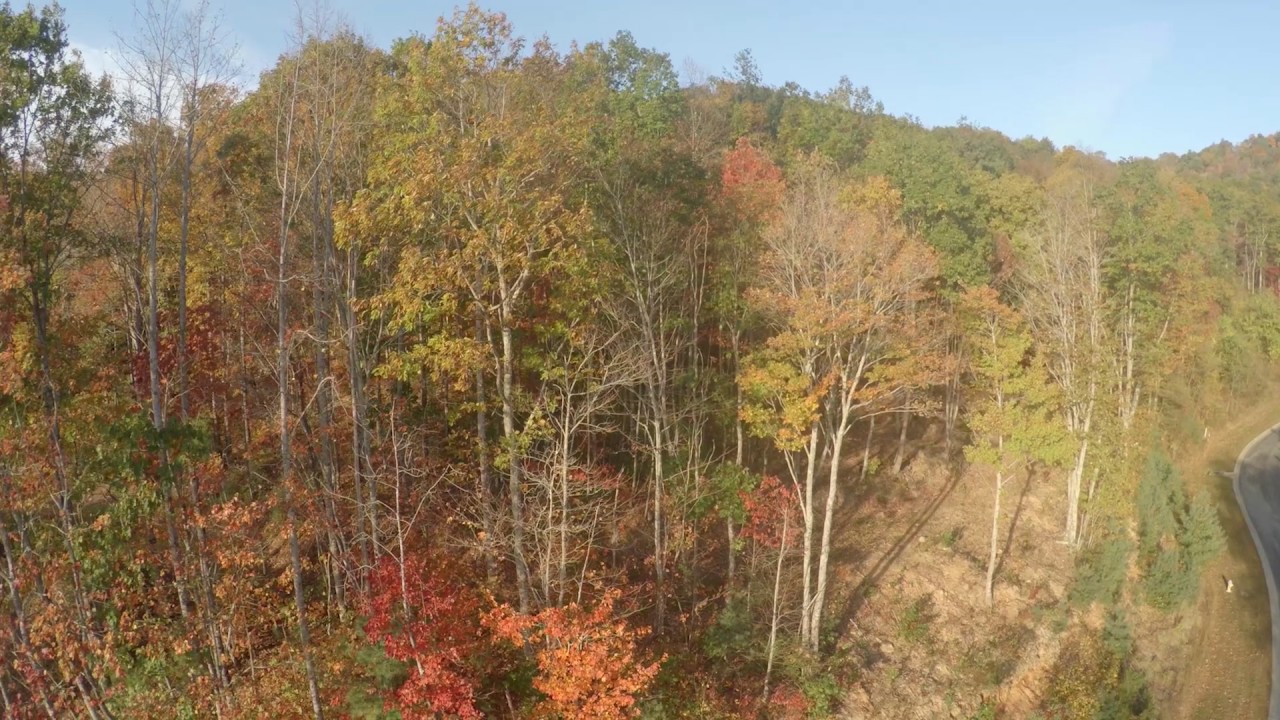 Select Homesites Poplar Ridge (Asheville, NC)
