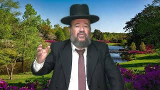 פרשת שלח לך – ארץ ישראל