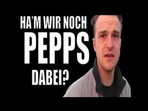 ❌ DJ mapin - HWNP (Haben wir noch Pepps - Remix)❌