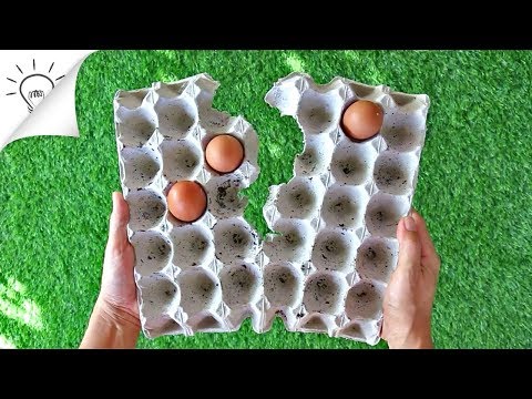 8 דברים שימושיים שאפשר לעשות עם קרטוני ביצים ריקים