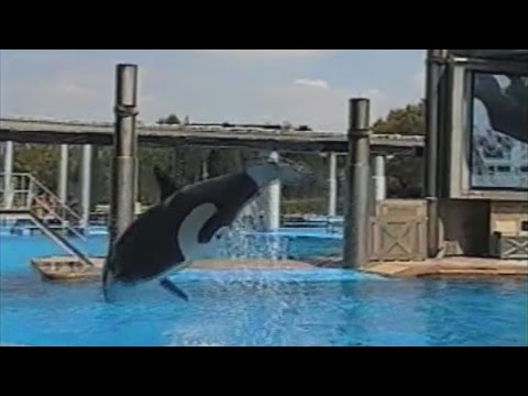 Kalina & Skyla's Bow Around (3/13/04)