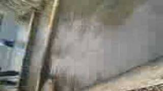 Eleanor Walking Through Deep Water