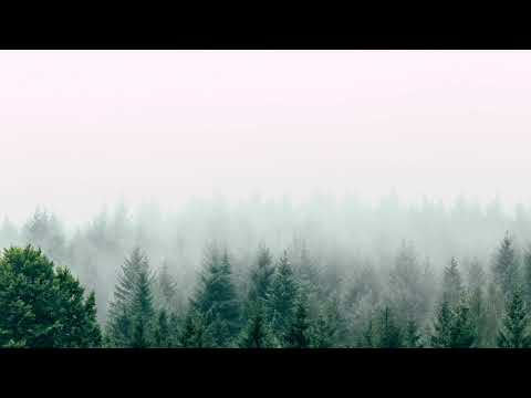 05 // This Quiet Violence