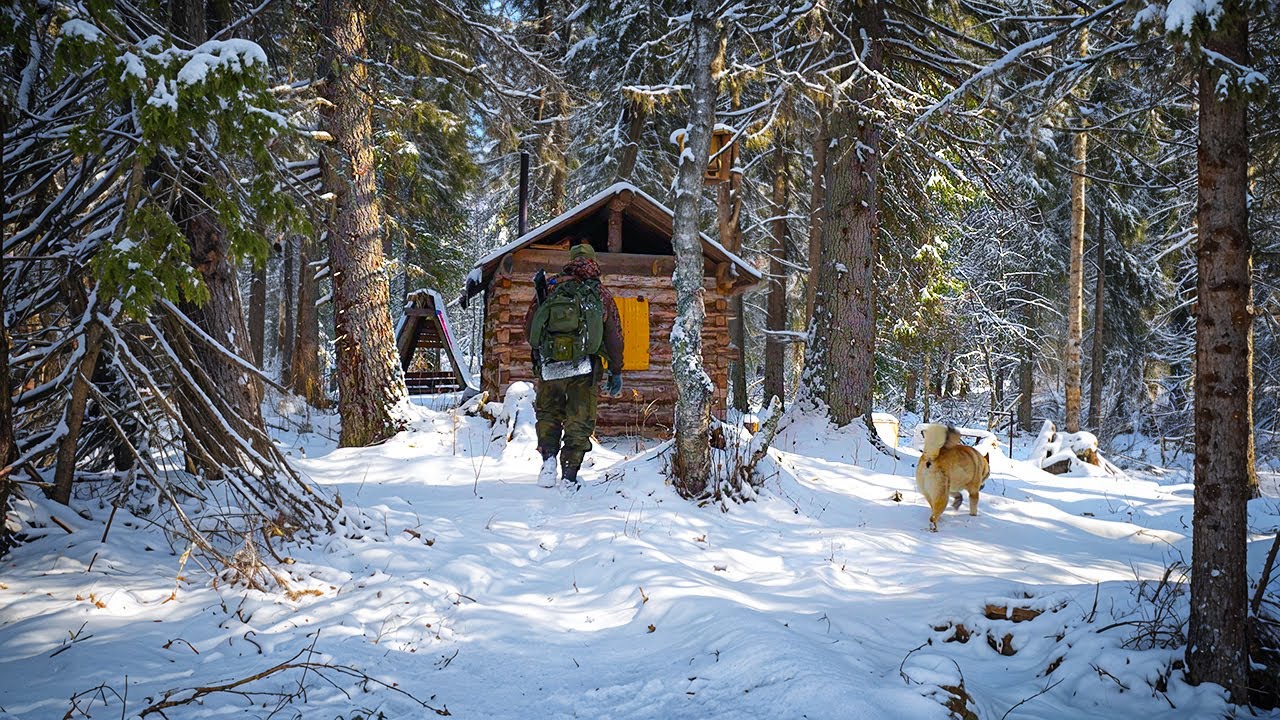 МЕДВЕДЬ ХОДИТ У ИЗБЫ. ПОСЛЕДНИЙ ЛЕД, ЖЕРЛИЦЫ.