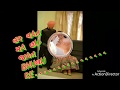 Tari Bolaki Akho Love Ni Bhavai New Love Status 2018