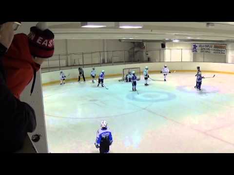 2014-11-30 RokiJoku1 - PantteritKeki