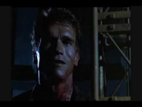 Surprise Guest Arrives in The Orchid