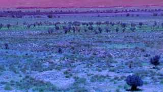 Noe Venable . .   CASCADIA . .  Kickstarter video #2 . .  Preview of "Lights and Fences"