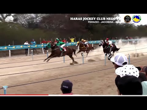 [Cortes🎬] 2º Páreo Classificatório - VII GP JOCKEY CLUB HARAS NEGO VEL 2021