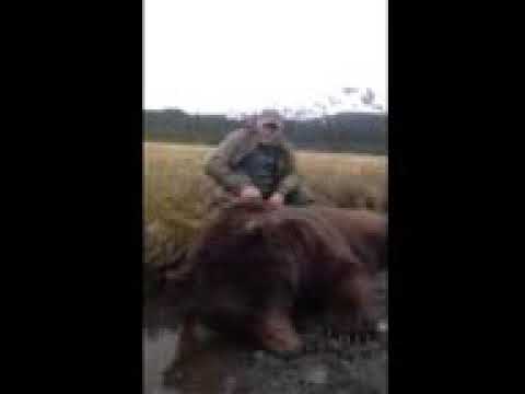 Brown Bear over 10ft Grizzinator Hunts