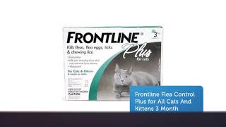 Buy Cat Flea At Precious Pets Paradise