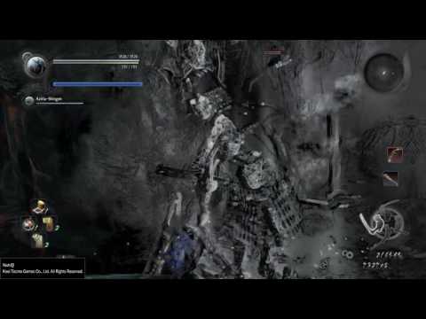 Nioh boss fog glitch
