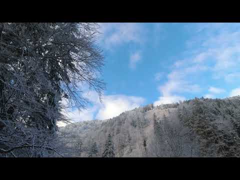Frumusetea iernii pe Valea Berivoi  I  Muntii Fagaras