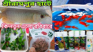 রবিবার কি নতুন এলো শ্রীরামপুর হাটে | Serampore Fish Shop |Fish Store Near Me |Fish Shop |Fish Market