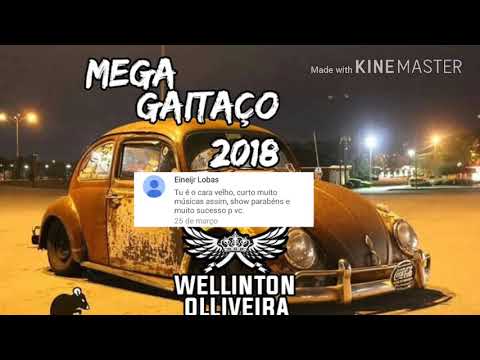 MEGA GAITAÇO 2018 Part5 - DJ Wellinton Olliveira