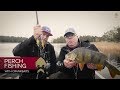 Perch fishing with crankbaits - Westin-Fishing