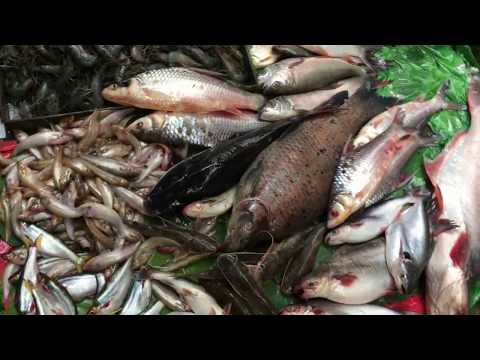 Asian Village Food In Phnom Penh - Morning Market Food - Fresh Asian Food Video