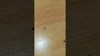 21 de agosto de 2025