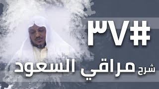 شرح مراقي السعود - 37- الشيخ محمد محمود الشنقيطي image