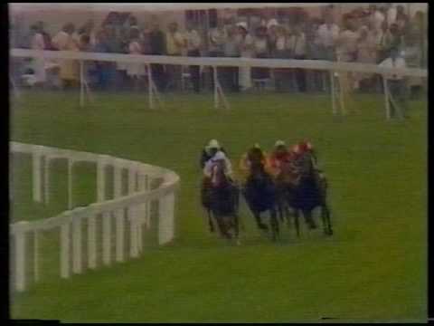 1984 Prince Of Wales's Stakes