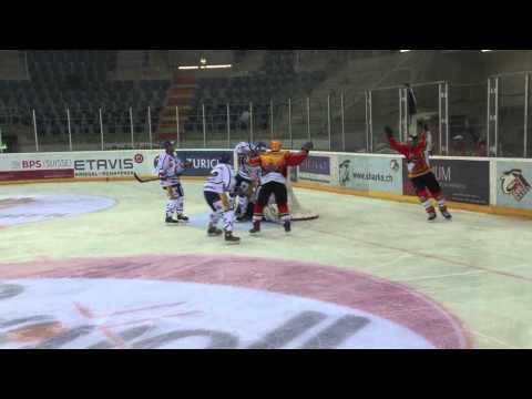 EHC Basel Sharks - GCK Lions