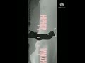 Hip Hop Hip Hop Tamizha WhatsApp Status In Tamil