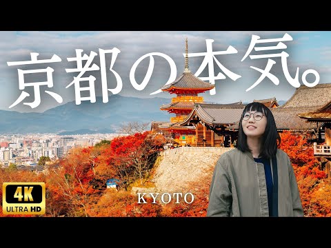 , title : 'そうだ、ベストシーズンの京都行こう！2泊3日の秋の京都観光🍁紅葉'