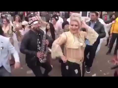 Veli oro legni stani