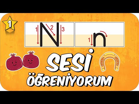 N Sesi Öğretimi 🌿 Okunuşu ve Yazılışı ✍🏻  1.Sınıf #2025