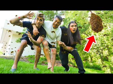 We Got ATTACKED By A GIANT Beehive!