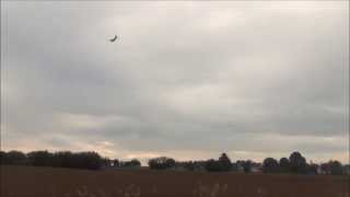 preview picture of video 'Letzter Flug Transall C-160'