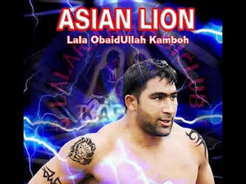 lala ubaidullah kamboh great stop