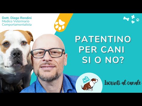 , title : 'Patentino per i proprietari dei cani sì o no?'