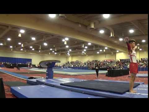 Yul Moldauer - Vault - 2019 Winter Cup Senior Prelims