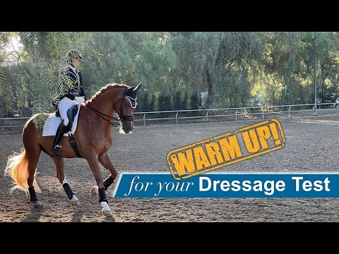 Warm Up for your Dressage Test