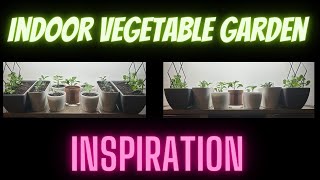 Indoor Vegetable Garden Inspiration